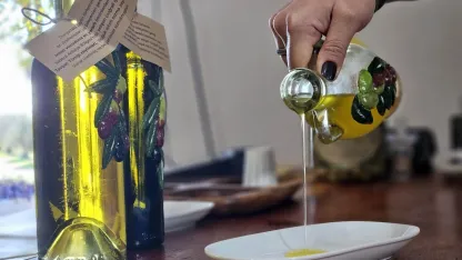 Dünyanın en sağlıklı zeytinyağının litresi 1500 TL