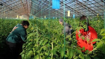 Üniversiteden sofraya