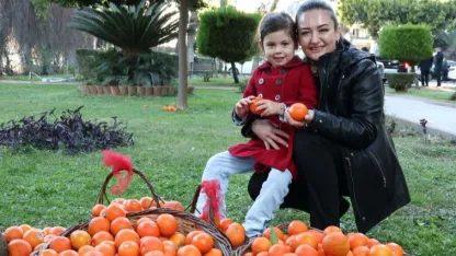 Antalya'nın turunçları Korkuteli'nden sofralara uzanıyor
