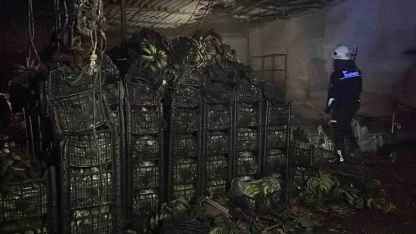 Alanya’da muz sarartma tesisinde yangın: Tonlarca muz zarar gördü