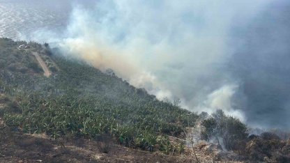 Antalya’da muz bahçesinde yangın