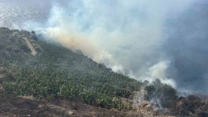 Antalya’da muz bahçesinde yangın