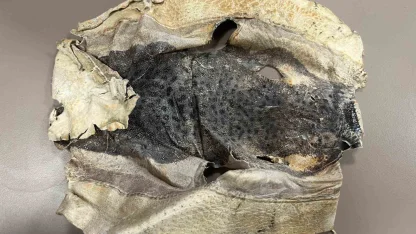 İzinsiz kullanılan Balon balığı projesi mahkemelik oldu