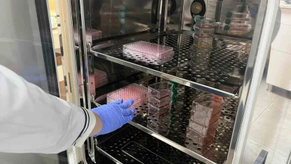 Parkinson’da bağırsak- beyin iletişimi çip üstü organ teknolojisiyle araştırılıyor