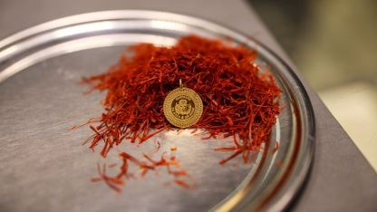 Kilosu 900 bin liraya ulaşan safran, mısır koçanı ve at kılı ile taklit ediliyor