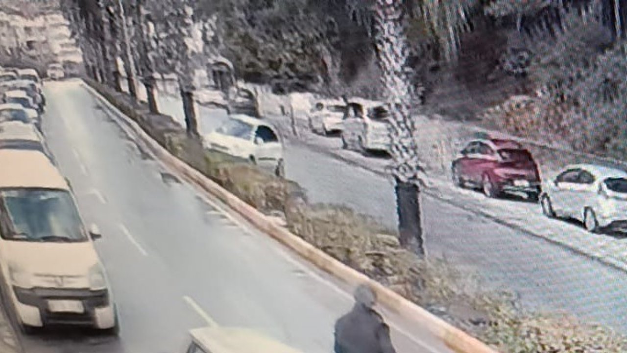 Antalya’da virajı alamadı, palmiye ağacına çarptı
