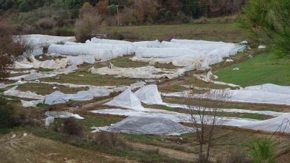 Antalya’daki hortum anı kamerada: Konteynerler savruldu, araç gitmekte zorlandı