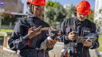Arama kurtarmada yeni dönem: Enkaz altında kalanları kahraman fareler kurtaracak