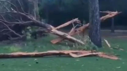 Golf sahasına düşen yıldırım ağacı parçalara ayırdı