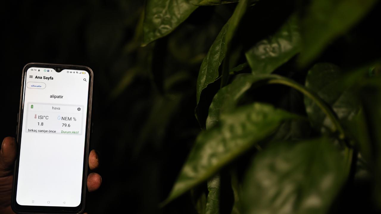 Seralarda dona karşı sıcaklıklar cep telefonundan anlık takip ediliyor