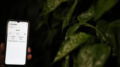 Seralarda dona karşı sıcaklıklar cep telefonundan anlık takip ediliyor