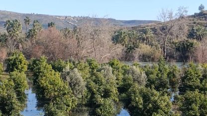 Irmak taştı, şantiye ile narenciye bahçelerini su bastı