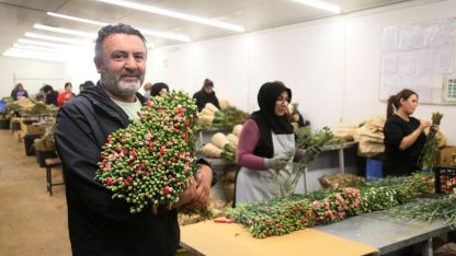 Antalya'dan 'Sevgililer Günü' için Avrupa'ya 75 milyon dal çiçek