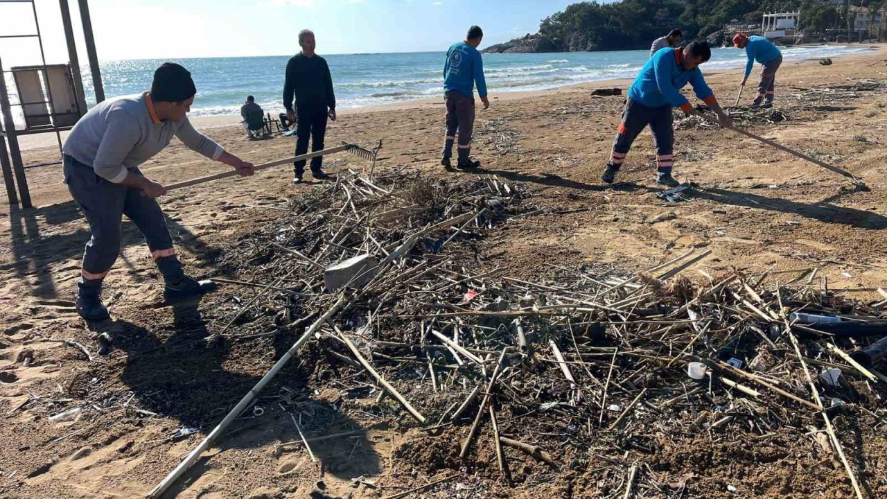 Alanya’da fırtına sonrası plajlarda temizlik yapıldı