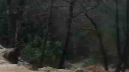 Alanya’da sağanak sonrası su taşkını köprüde zarara neden oldu