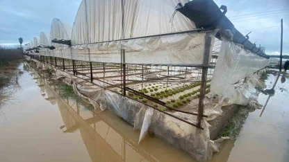 Antalya’da sağanak yağmur Aksu’da su baskınlarına sebep oldu