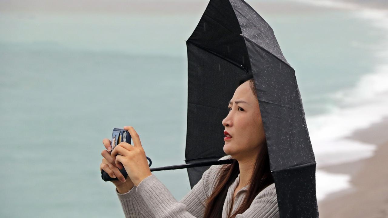 Antalya’da ’Sarı Kod’ uyarısı: Rögarlar taştı, telef olmuş dana kıyıya vurdu