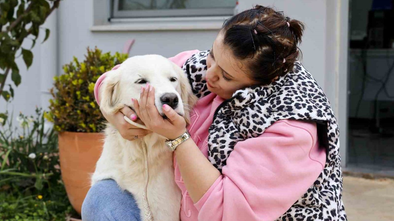 Antalya’da sokak hayvanları yeni sahiplerini bekliyor