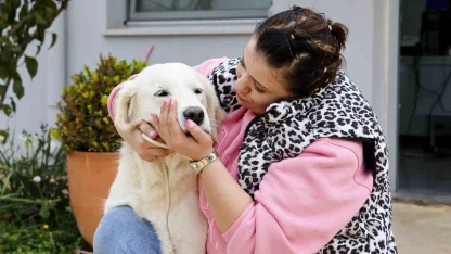 Antalya’da sokak hayvanları yeni sahiplerini bekliyor