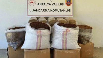 Antalya’da yolcu otobüsünde yarım ton kaçak tütün ele geçirildi