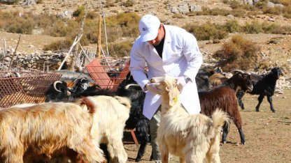 Büyükşehir Çoban Haritası Projesi ile 508 çobana destek oldu