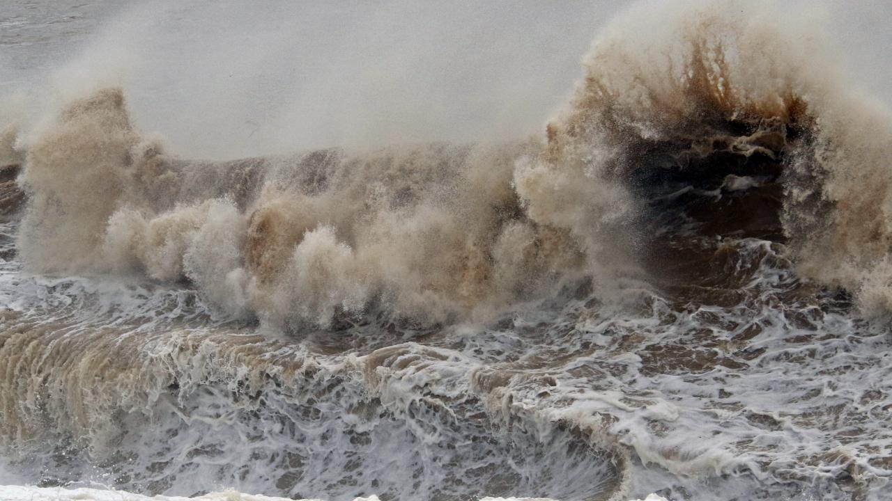 Dev dalgalar sahili dövdü: Martılar balık, define avcıları kıymetli eşya aradı