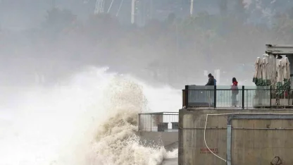 Dev dalgalar sahili dövdü: Martılar balık, define avcıları kıymetli eşya aradı