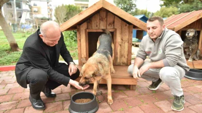 Hayırseverlerden 8 adet köpek ve 50 adet kedi kulübesi
