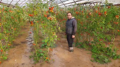 Kumluca’da hortum seraları parçaladı