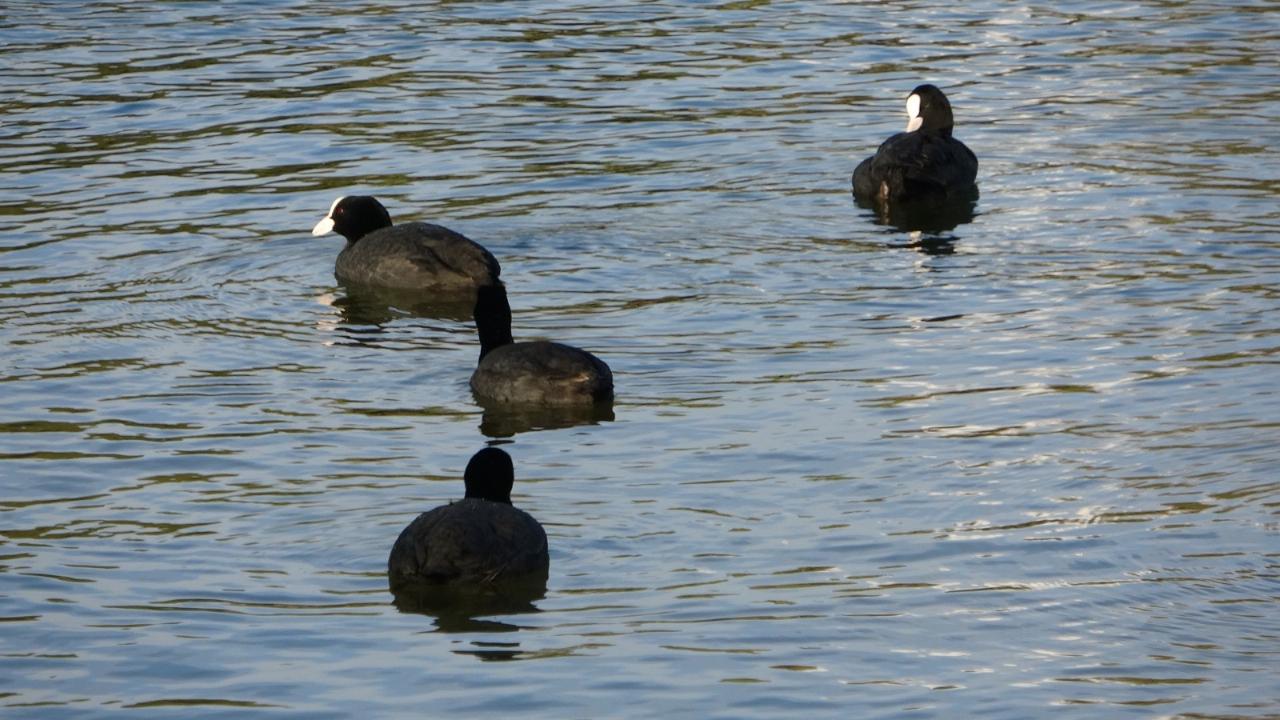 Manavgat’ta dev dalgalar Titreyengöl’ü denizle birleştirdi