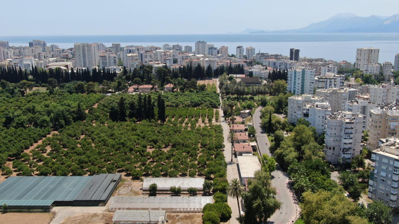 Türkiye son 20 yılda, Antalya’dan büyük tarım alanını kaybetti