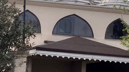 Yaban hayatı gözlemcisinden leyleğin bozulan yuvası için çağrı