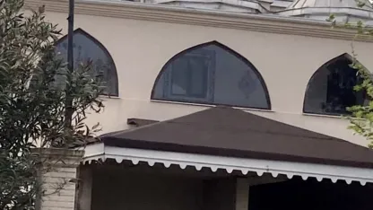 Yaban hayatı gözlemcisinden leyleğin bozulan yuvası için çağrı