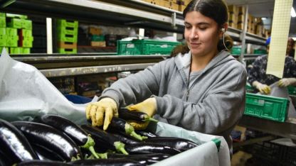 Türkiye'nin sebze tüketiminin yarısını karşılayan Antalya Hali'nden 64 ülkeye ihracat