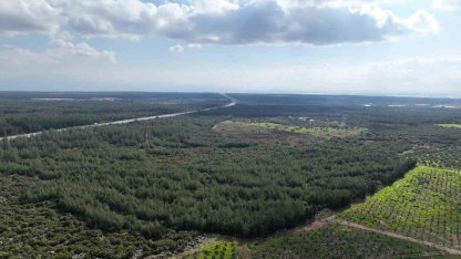 "81 İlde 81 Orman" projesi ilkbahar dikimleriyle devam ediyor