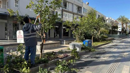 Büyükşehir’den Kemer’de peyzaj düzenlenesi