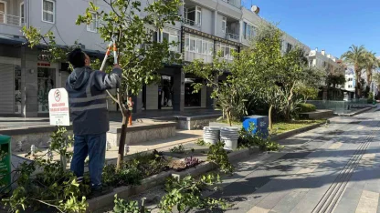 Büyükşehir’den Kemer’de peyzaj düzenlenesi