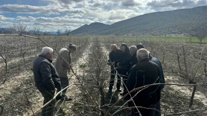 Korkuteli’nde çiftçilere budama eğitimi