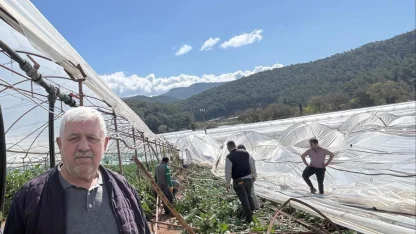 Kumluca’da hortum seraları vurdu, 10 dönüm alan zarar gördü