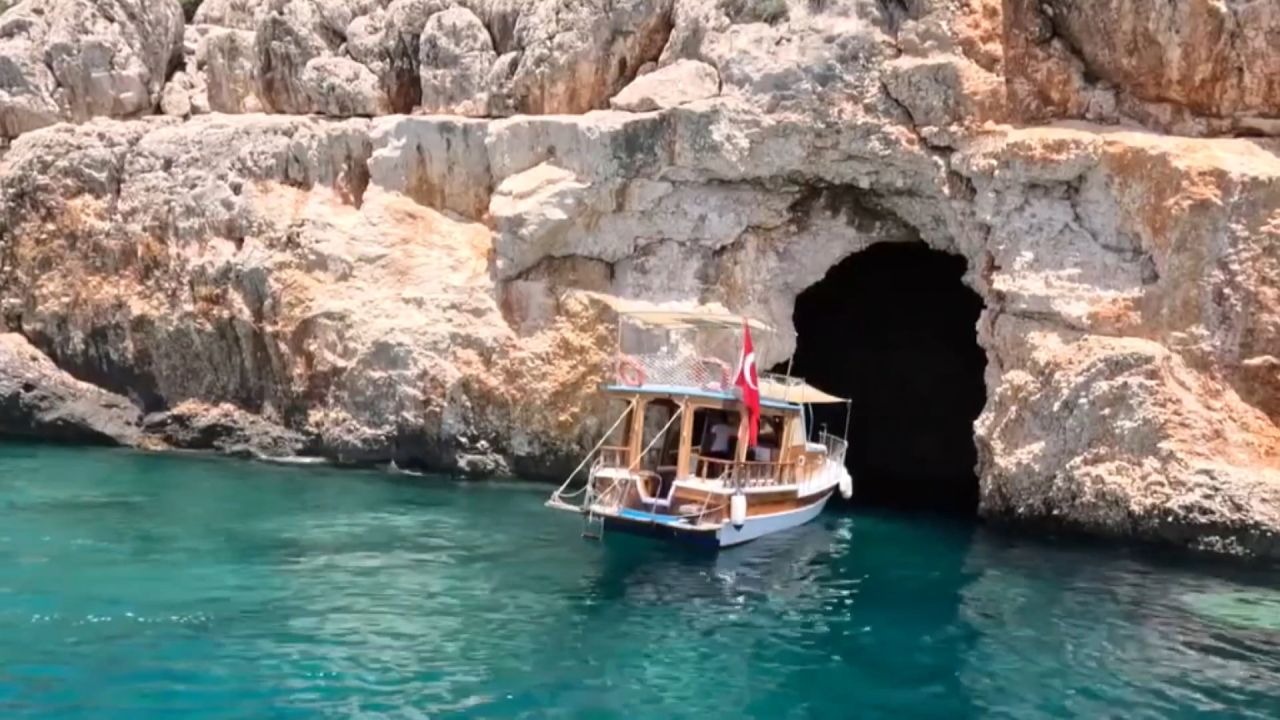 Nesli tehlikedeki Akdeniz foku yuvalarına ‘tur’ şikayeti