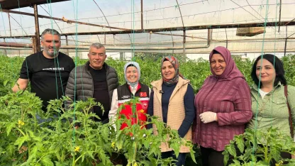 Aksu’da örtü altı tarımda yıllık yaklaşık 370 bin tonluk rekoltenin tamamı kadın çiftçilerin emeğiyle üretiliyor