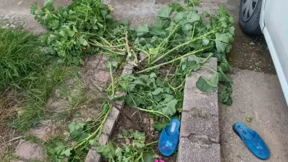 Antalya’da küçük çocuk ikinci kattan düştü, olayı kırıklarla atlattı