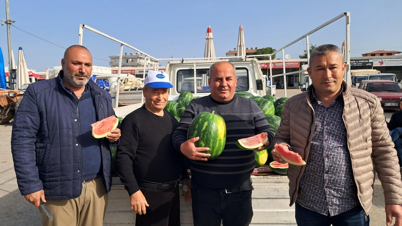Antalya'da sezonun ilk erkenci karpuzu kilosu 40 liraya alıcı buldu