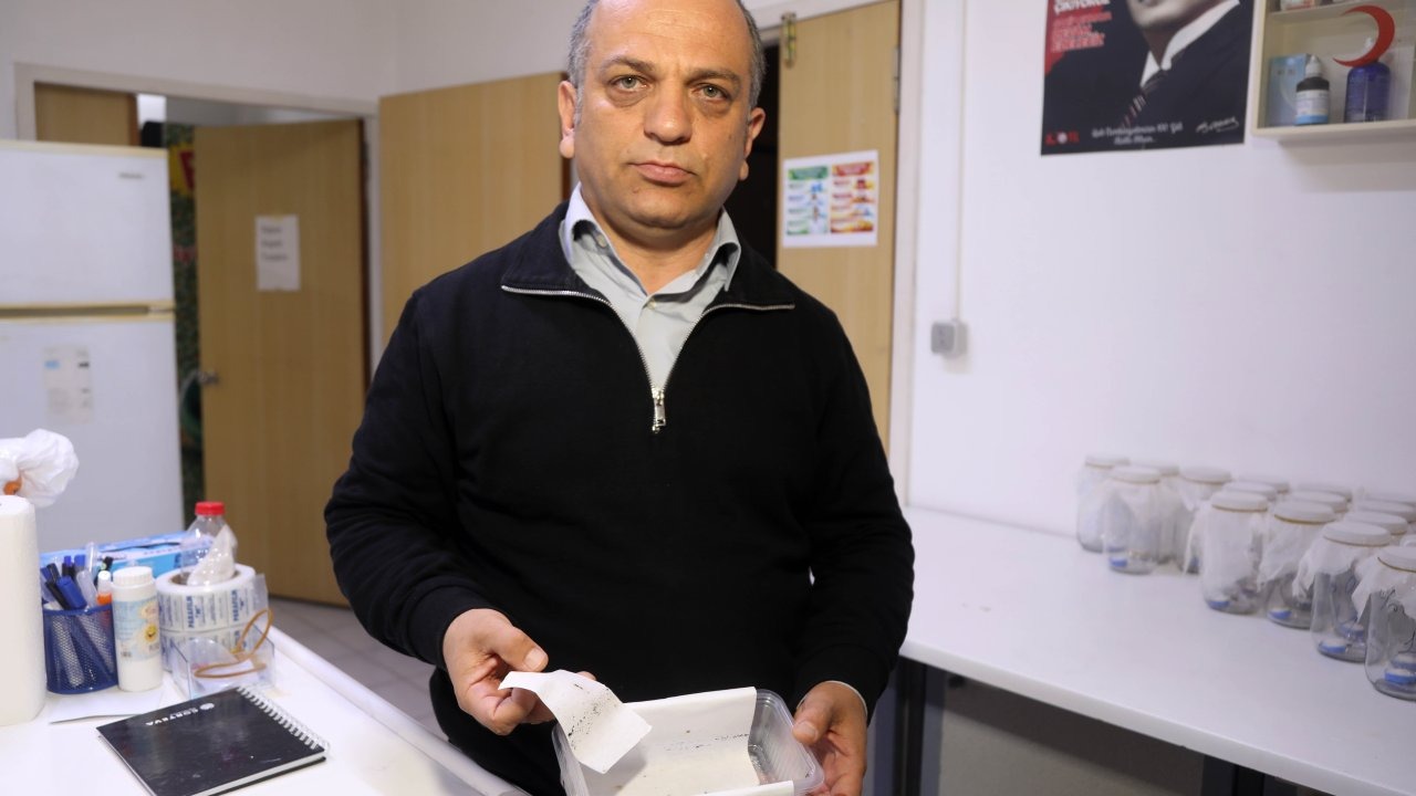 Antalya'da yoğun yağışlar sonrası sivrisinek alarmı