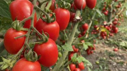 ATB mart ayı hal endeksini açıkladı