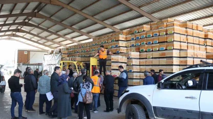 Büyükşehirden üreticiye arı kovanı desteği