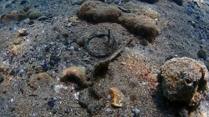 Büyükşehir’den Yat Limanı’nda deniz dip temizliği