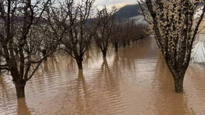Elmalı’da dereler taştı, tarım alanları sular altında kaldı