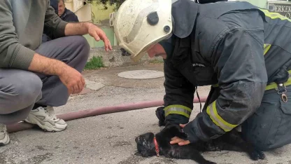 İtfaiye eri yangında dumandan etkilenen kediyi kalp masajı ile hayata döndürdü
