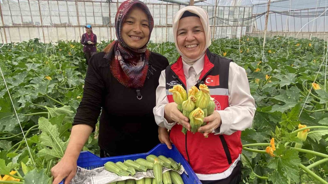 Kadın çiftçi hem üretiyor hem ihraç ediyor hem de pazarda satıyor